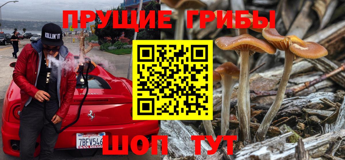 Галлюциногенные грибы Magic Shrooms Луга