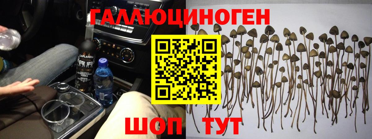 Луга  даркнет сайт  Вход с VPN  Псилоцибиновые грибы ЛСД 